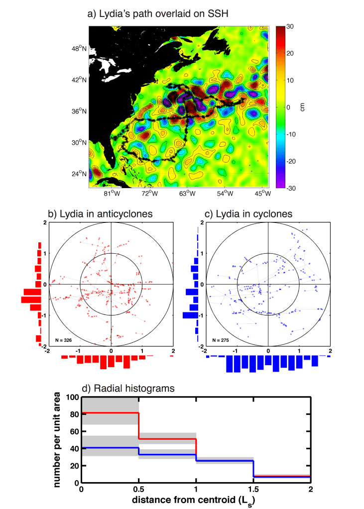 Figure 3: (a) The path of the ~900 kg. mature female white shark Lydia as recorded by a SPOT tag affixed to her dorsal fin, overlaid on a map of SSH for the week of 4 August, 2013. Anticyclonic eddies (positive SSH anomalies) are shown in red, cyclonic eddies (negative SSH anomalies) in blue to purple. Daily position estimates of Lydia when she occupied anticyclonic and cyclonic eddies are shown in panels (b) and (c), respectively. The histograms along the x and y axes display the distribution of observations and are not scaled relative to each other. The x and y axes in each panel have been scaled by the eddy radius scale L_s  defined in the text. (d) Histograms of the number of daily SPOT locations per unit area of each radial annulus, as a function of radial distance from the closest eddy center. SPOT locations associated with anticyclones and cyclones are shown as red and blue stepped curves, respectively. The x axes has been scaled by the horizontal eddy radius scale L_s. The 95% confidence interval of each radial bin is shown by grey shading. Confidence intervals for the binomially distributed location counts were computed following Clopper and Pearson (1934). 