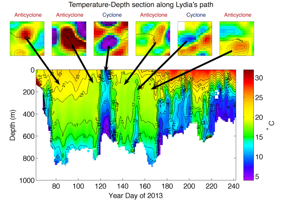 Figure 2: Temperature-Depth section collected by a pop-up archival tag (miniPAT) affixed to Lydia’s dorsal surface. The six panels above the section are snapshots of SSH overlaid with Lydia’s SPOT location estimates. Each of the panels is labeled as either an anticyclone, resulting in a downward displacement of isotherms in the temperature-depth section, or a cyclone, resulting in the shoaling of isotherms. The maximum depth of each dive is recorded as the transition from the pseudo-color image to white. Dives within anticyclones are always deeper than within cyclones.